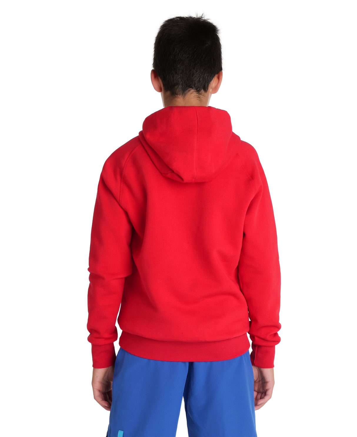 Arena Team Junior Hooded Panel Sweatshirt