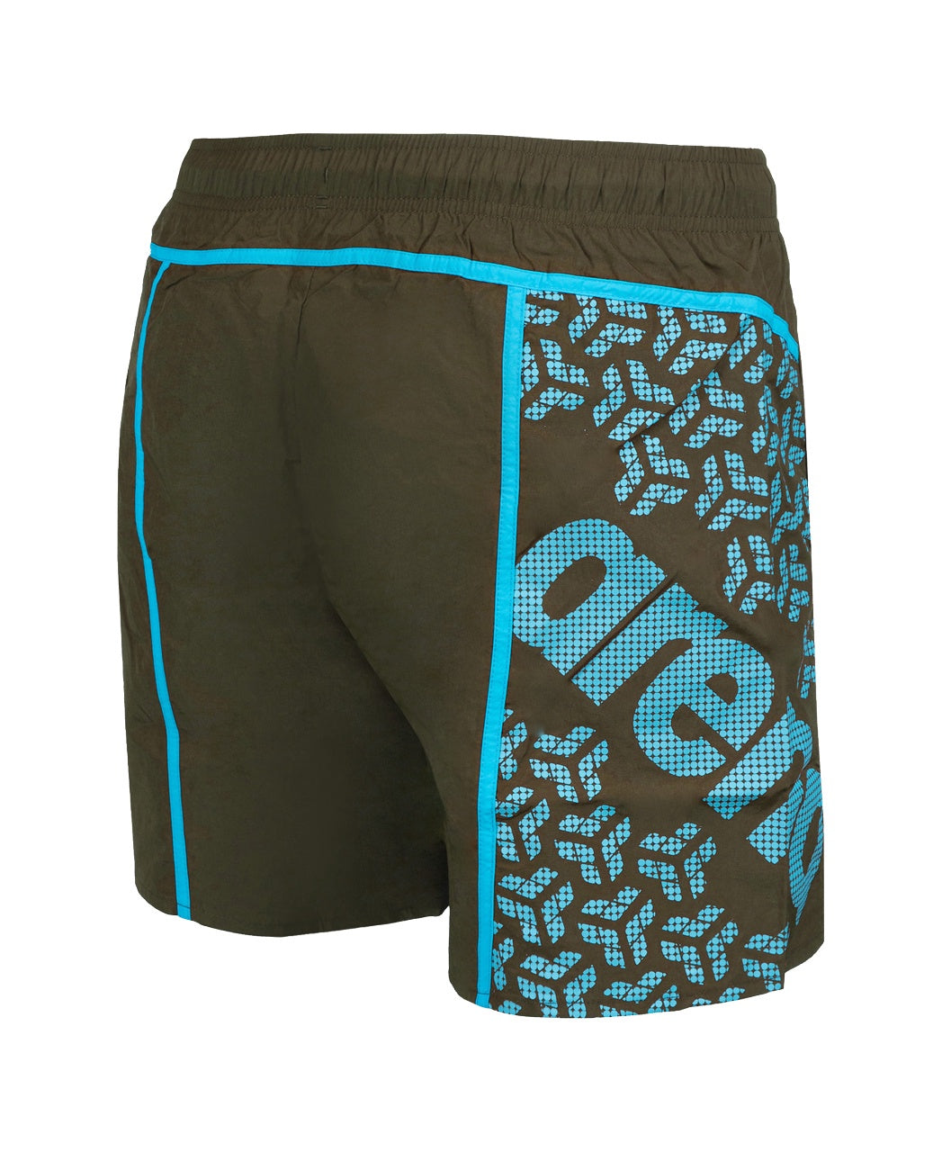 Men's Arena Pro_File Beach Boxer Logo Watershort