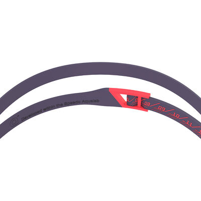 Fastskin Pure Focus Mirror Goggle - Autumn Red/Smoke Speedo