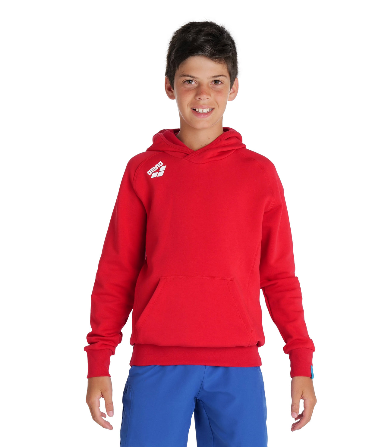 Arena Team Junior Hooded Panel Sweatshirt